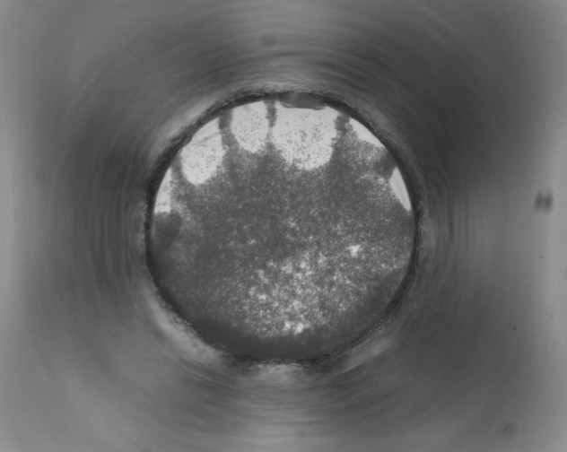 X0000112010446200909141129