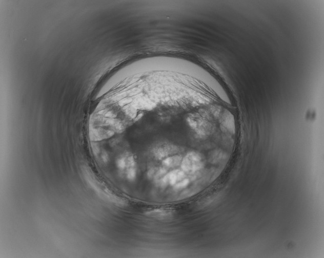 X0000112010447200909141129
