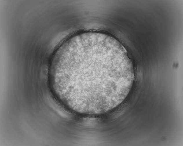 X0000112010448200909141129