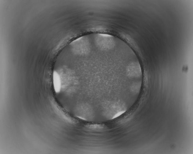 X0000112010449200909141129