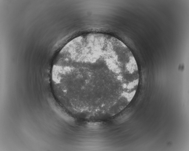 X0000112010450200909141130