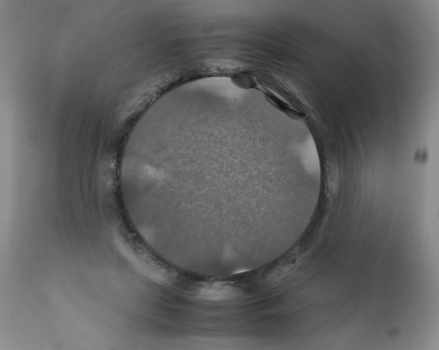 X0000112010451200909141130