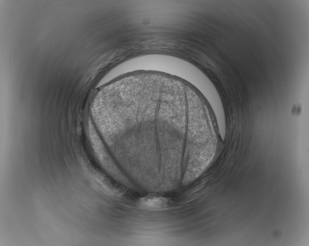 X0000112010452200909141130