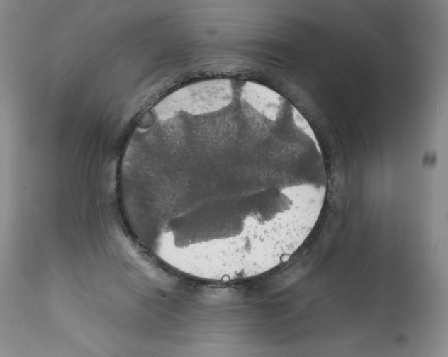 X0000112010454200909141130