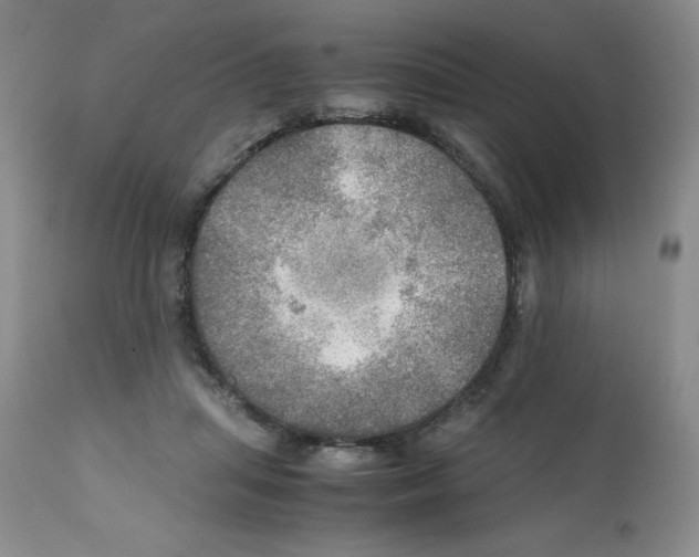X0000112010455200909141130