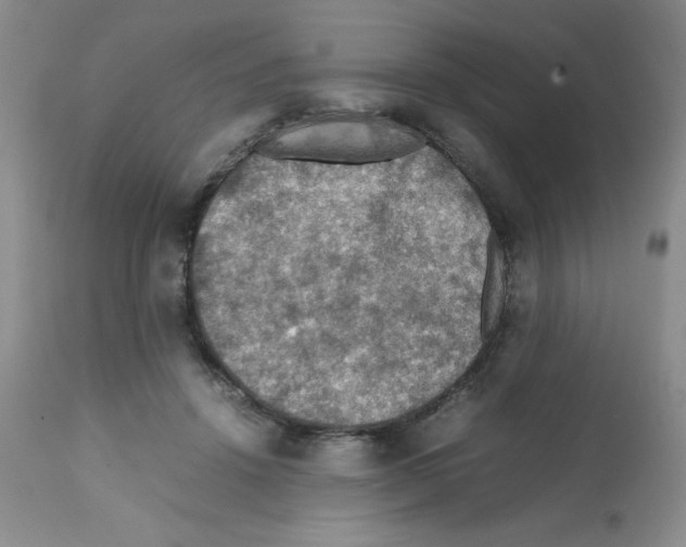 X0000112010456200909141130