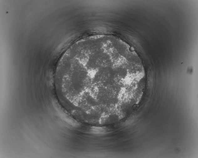 X0000112010457200909141130