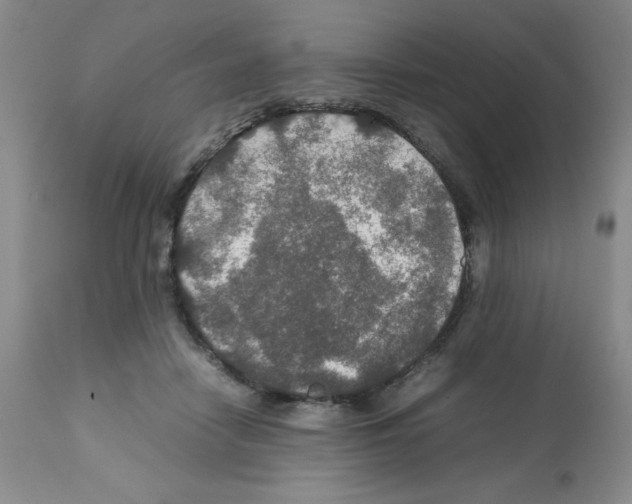 X0000112010458200909141130