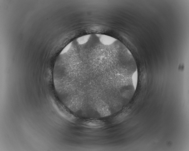 X0000112010459200909141130