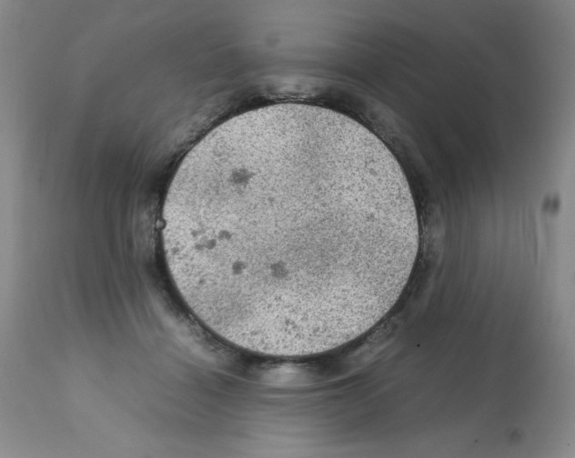 X0000112010460200909141130