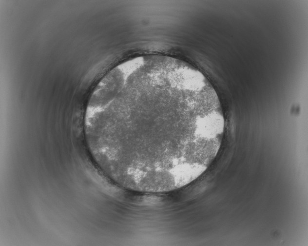 X0000112010462200909141130