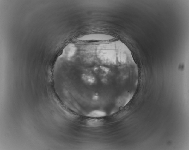 X0000112010465200909141130