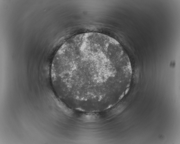 X0000112010466200909141130