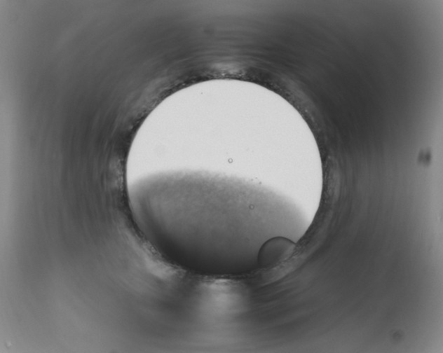 X0000112010467200909141130