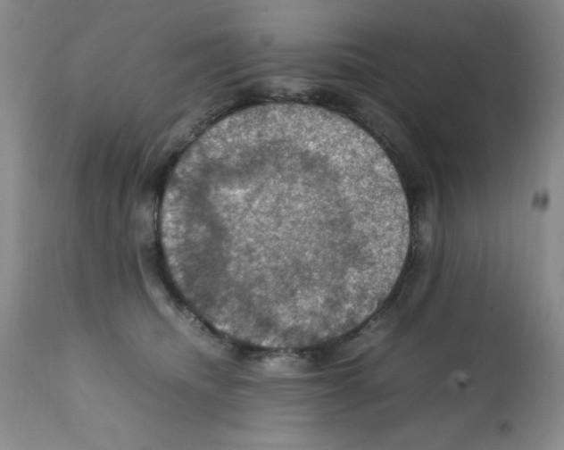 X0000112010468200909141130