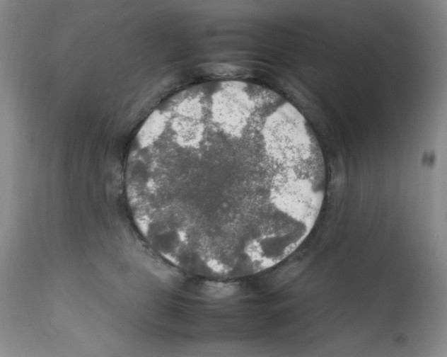 X0000112010469200909141130