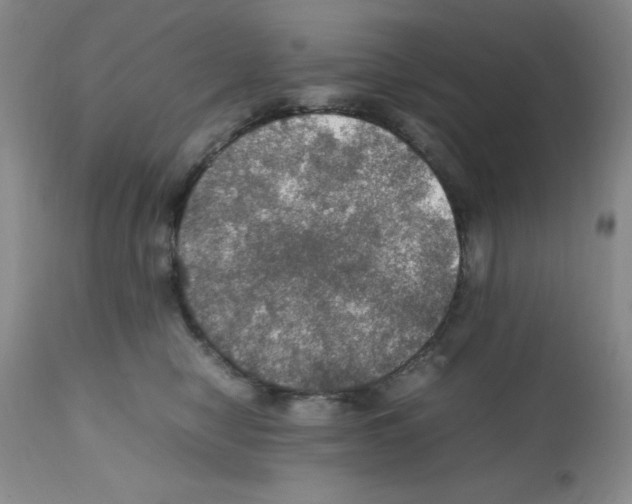 X0000112010470200909141130