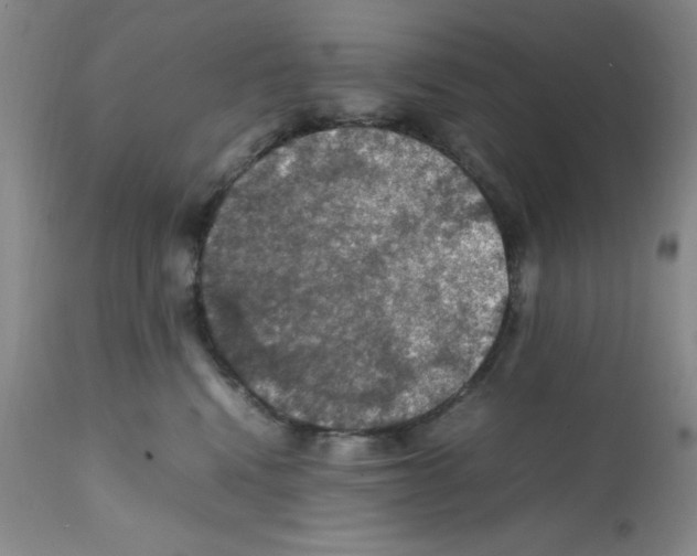 X0000112010472200909141130