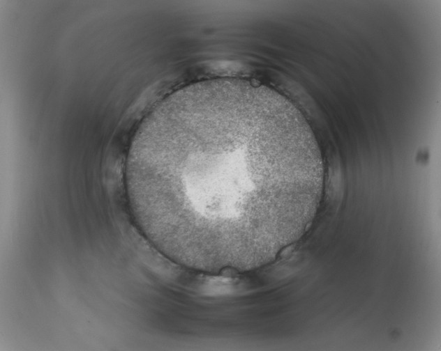 X0000112010473200909141130