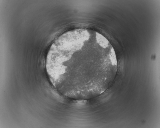 X0000112010474200909141130