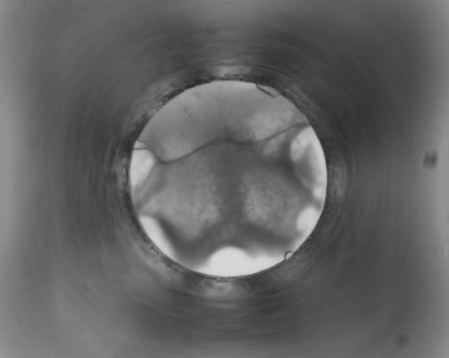 X0000112010475200909141130