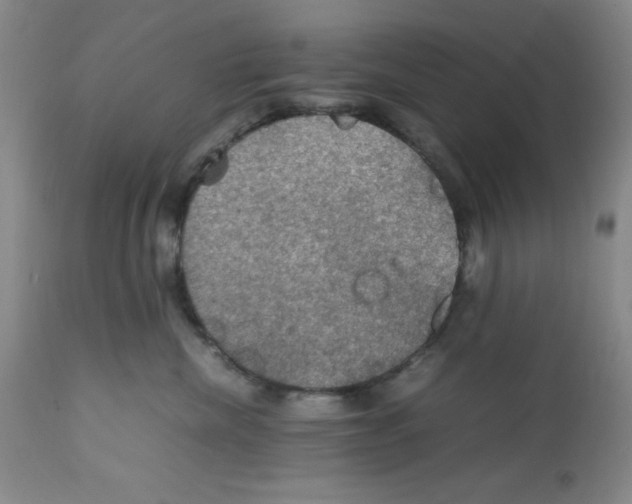 X0000112010476200909141130