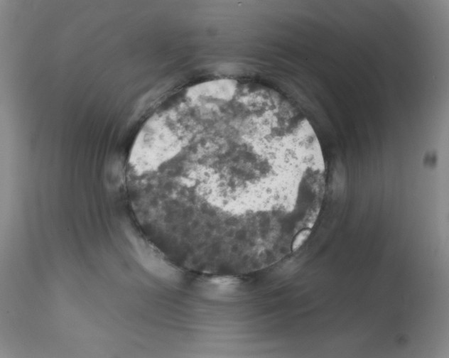 X0000112010478200909141130