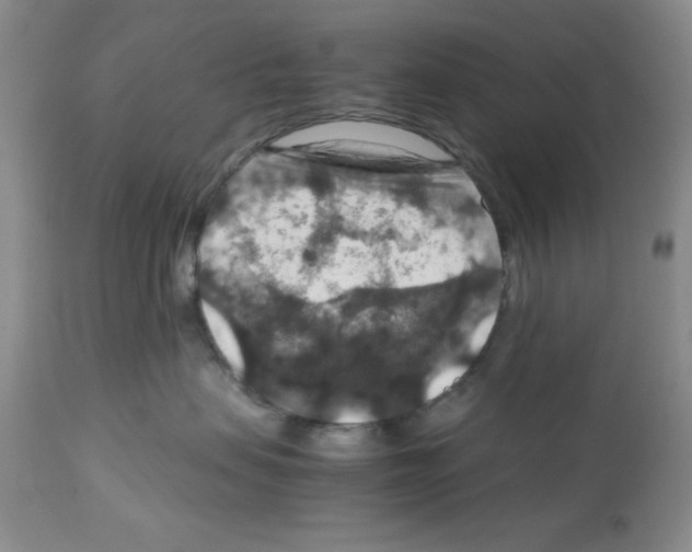 X0000112010479200909141130