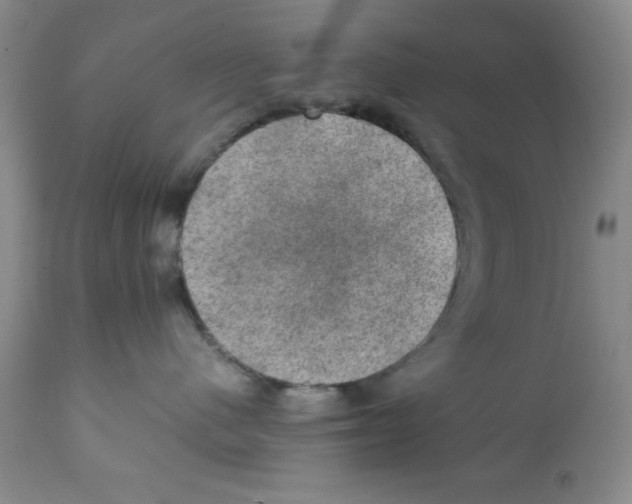 X0000112010480200909141130