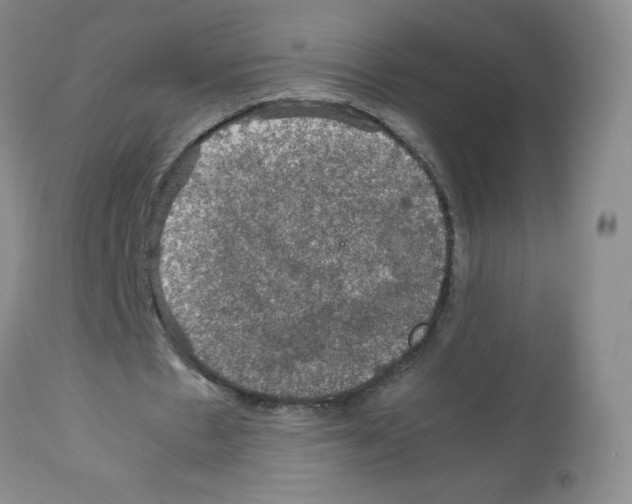 X0000112010481200909141129