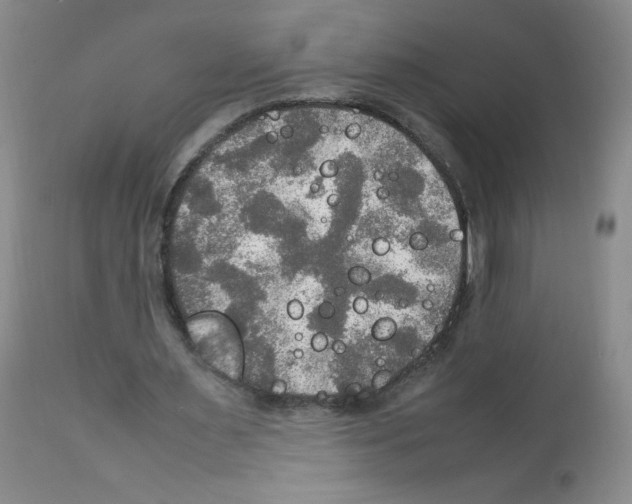 X0000112010483200909141129