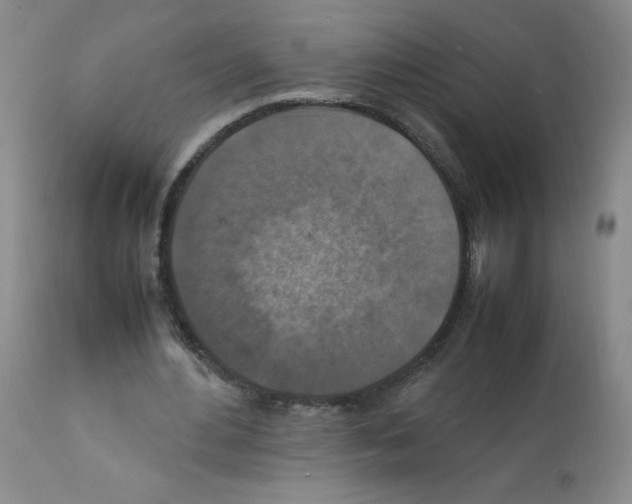 X0000112010484200909141129