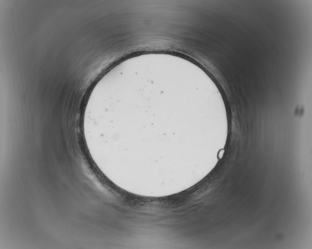 X0000112010485200909141129