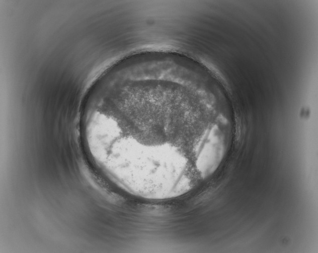 X0000112010486200909141129