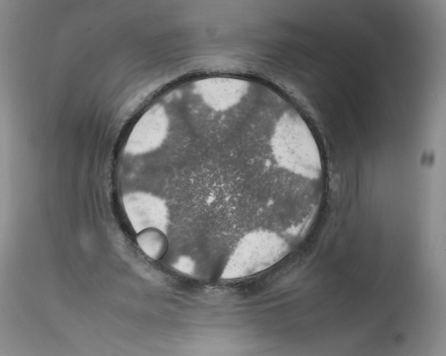 X0000112010487200909141129