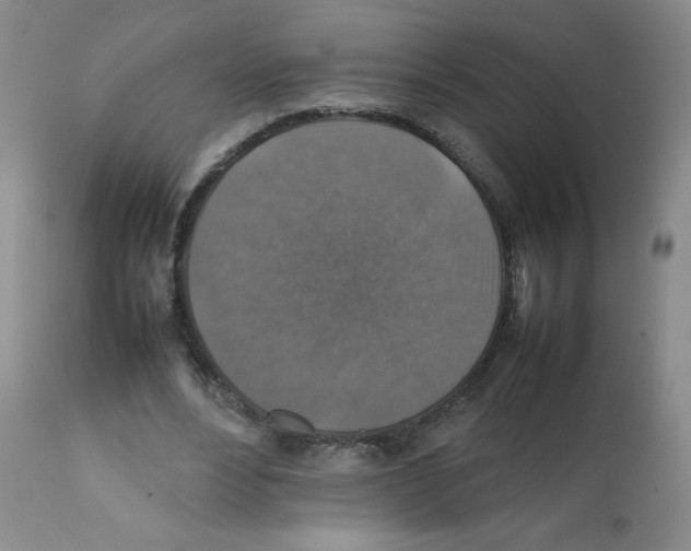 X0000112010488200909141129