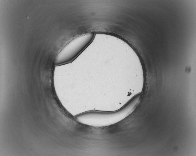 X0000112010489200909141129