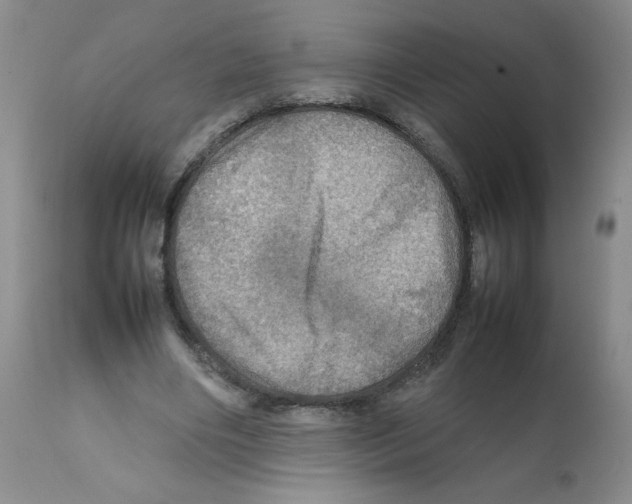 X0000112010490200909141129