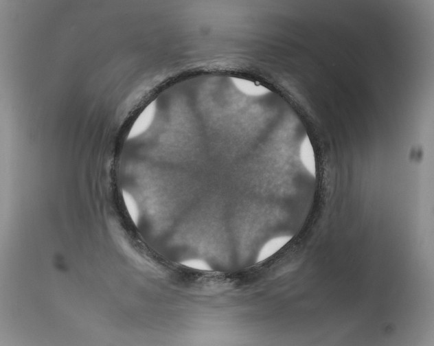 X0000112010491200909141129