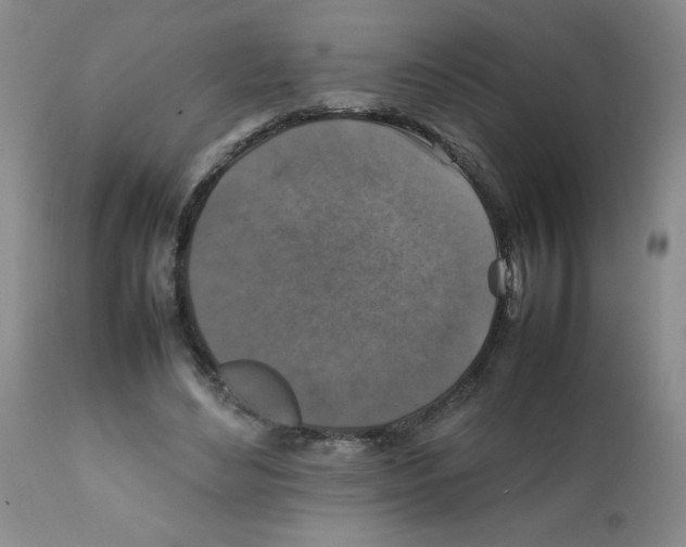 X0000112010492200909141129