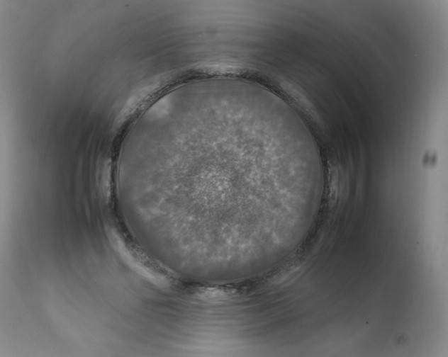 X0000112010494200909141129