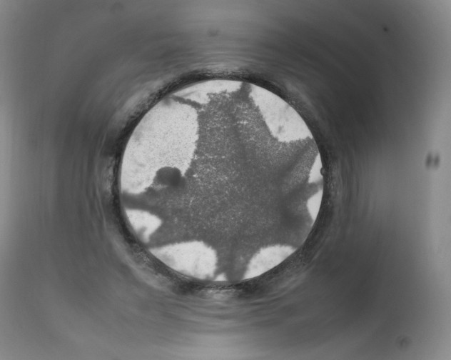 X0000112010495200909141129