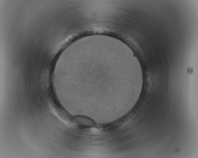 X0000112010496200909141129