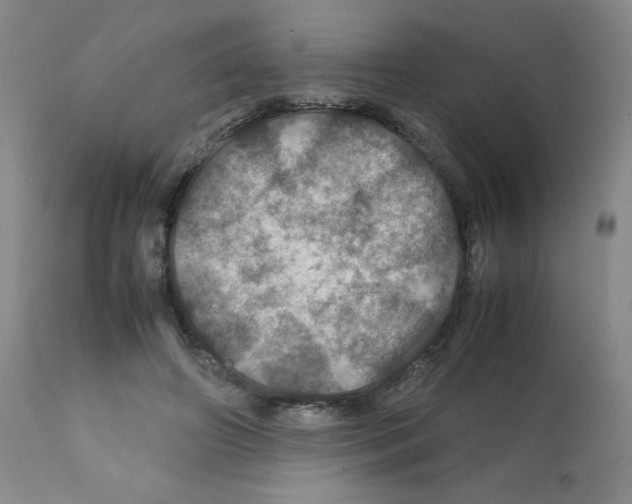 X0000112010498200909141129