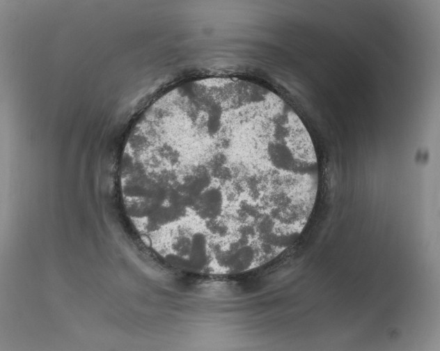 X0000112010499200909141129