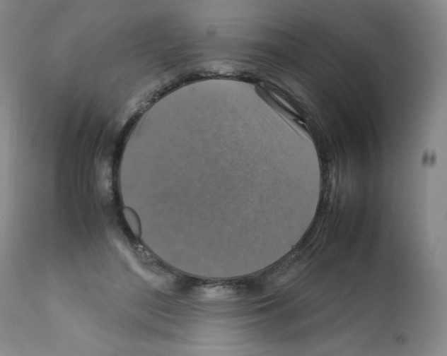 X0000112010500200909141129