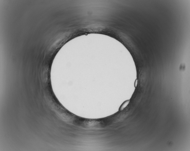 X0000112010501200909141129