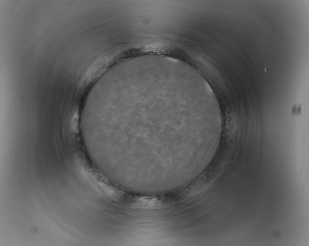 X0000112010502200909141129