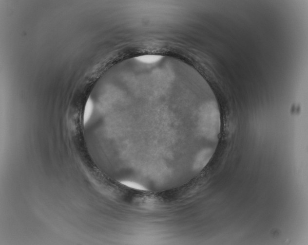 X0000112010503200909141129
