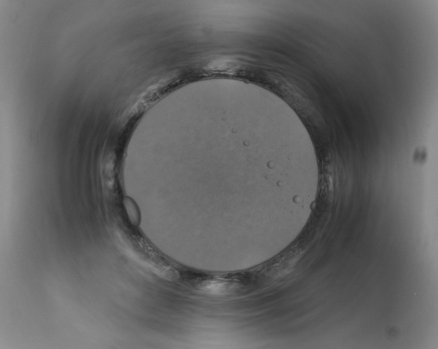 X0000112010504200909141129
